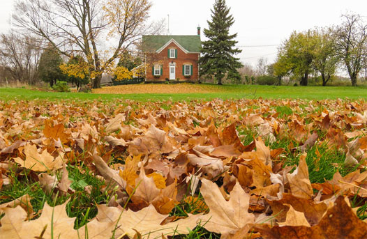 墨尔本大学留学租房合同主要包含什么？