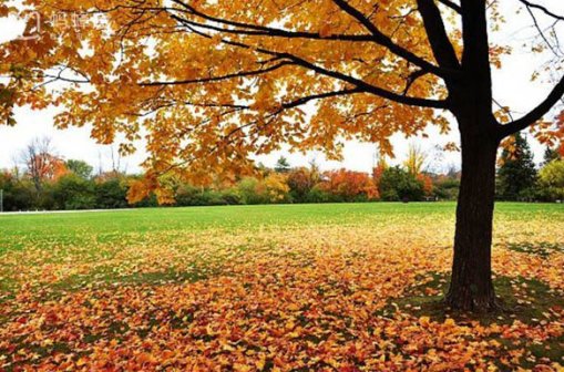 墨尔本房产贷款前期费用有哪些？